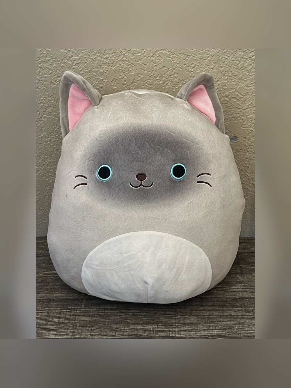 Squishmallows Kellytoy Felton The Siamese Cat Gray Color Plush